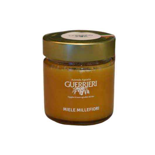 Čokoladni namaz z lešniki Brez Sladkorja - s stevijo - www.brezsladkorja.si