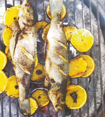 Revija dober tek piknik - ribe 