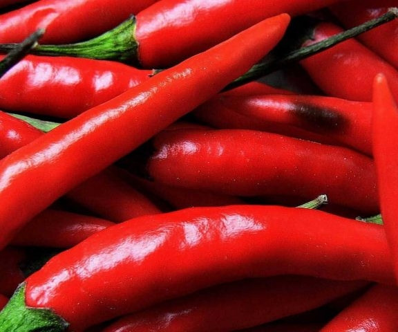 Pekoči ČILI I Začimbe